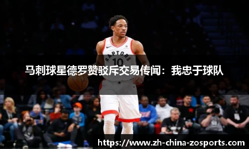 中欧体育官网