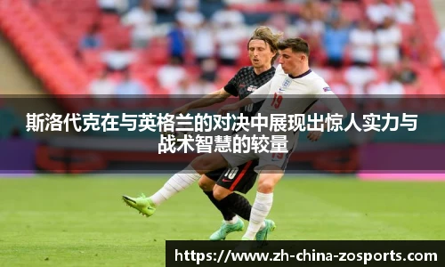 中欧体育