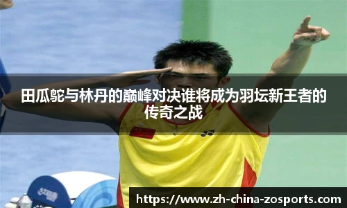 中欧体育