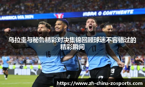 中欧体育官网