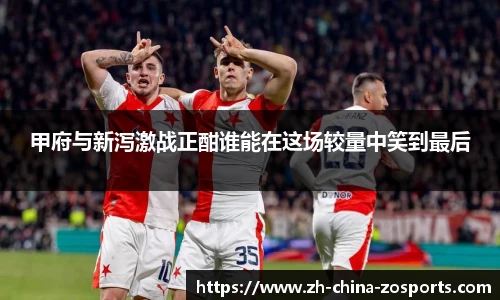 中欧体育