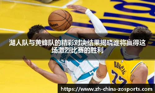 中欧体育